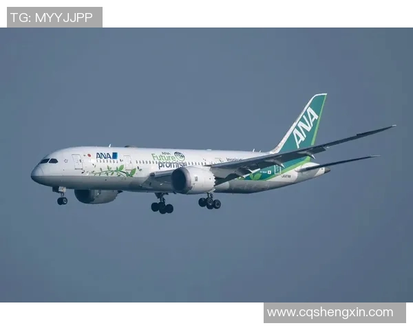 为啥叫全日空比赛-为何全日空比赛备受瞩目？为啥叫全日空比赛